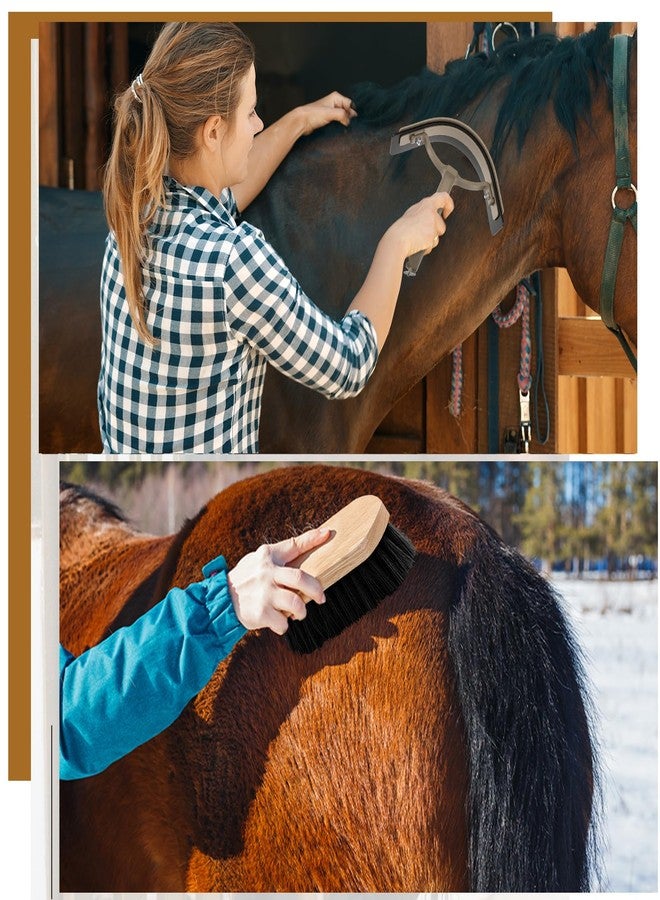 Abbylike 12 Pieces Horse Grooming Kit Racing Festival Tack Room Supplies Horse Brush Sets Equine Care Cleaning Kit Shedding Grooming Massaging Tools(Dark Gray) - Image 4